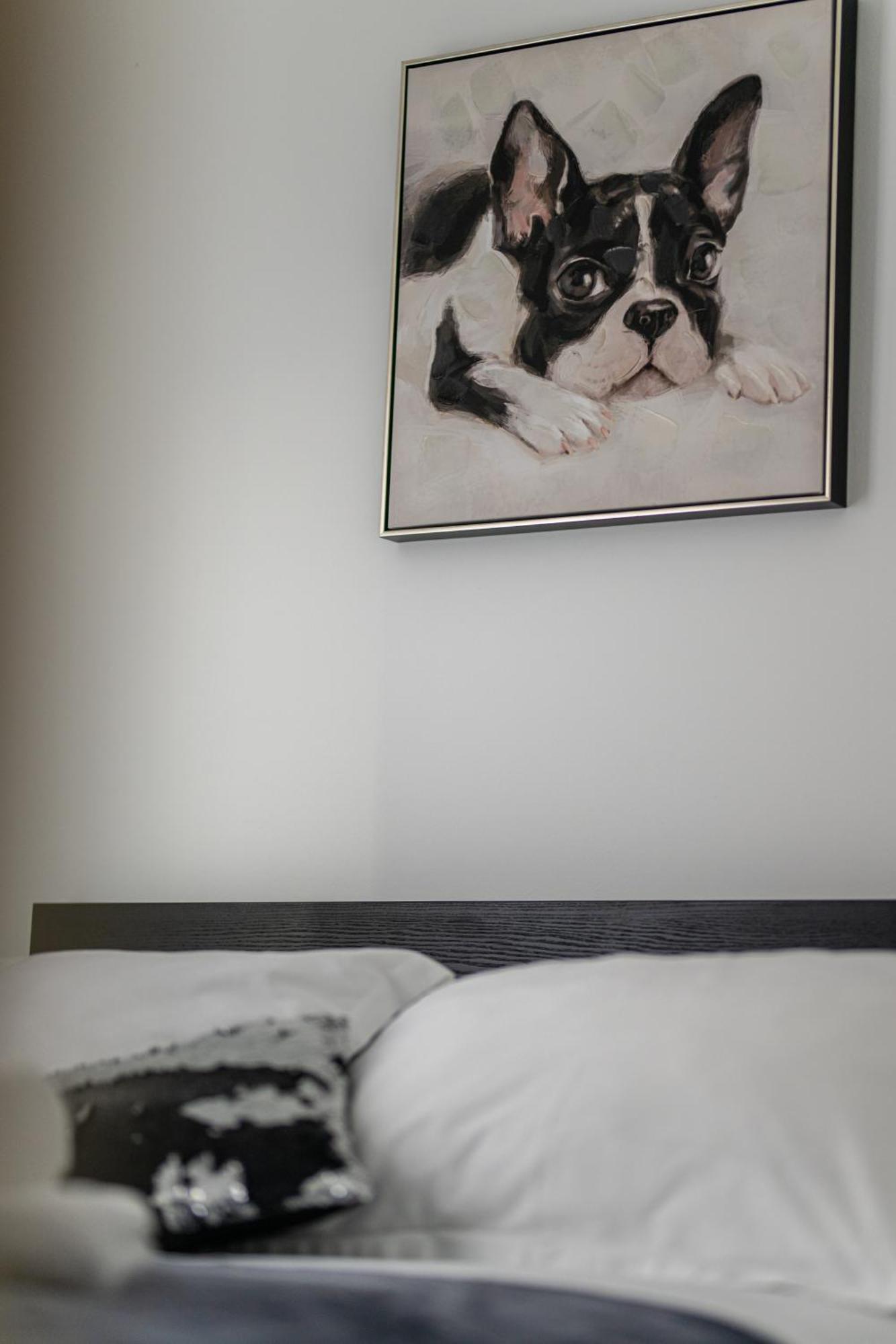 Babylu Apartman 扎达尔 外观 照片